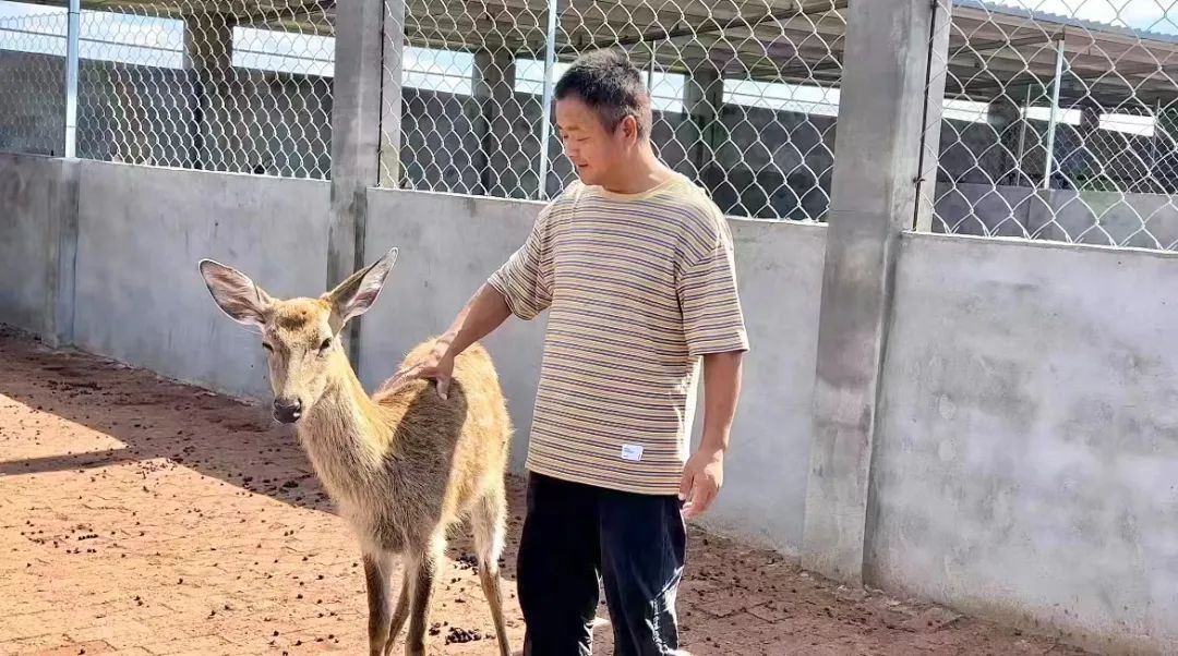 ag网投充值
